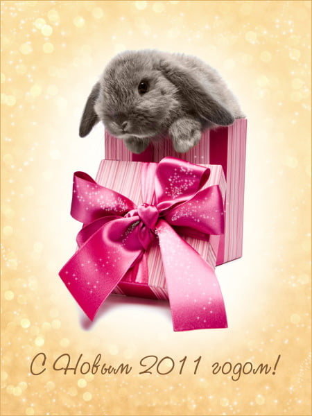 новогодние открытки с кроликом