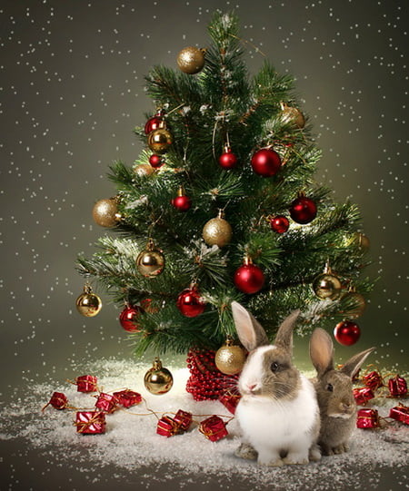 новогодние открытки с кроликом