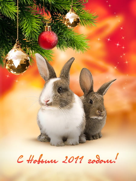 новогодние открытки 2011 с кроликом
